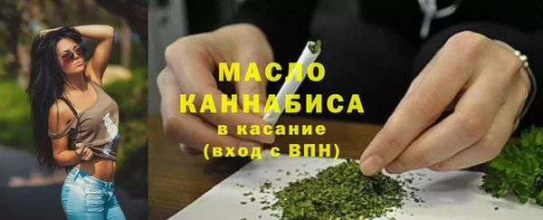 бошки Бронницы